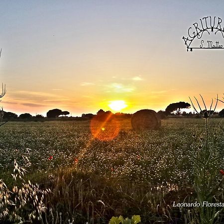 Agriturismo San Matteo Tarquinia Eksteriør bilde