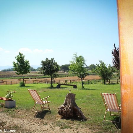 Agriturismo San Matteo Tarquinia Eksteriør bilde