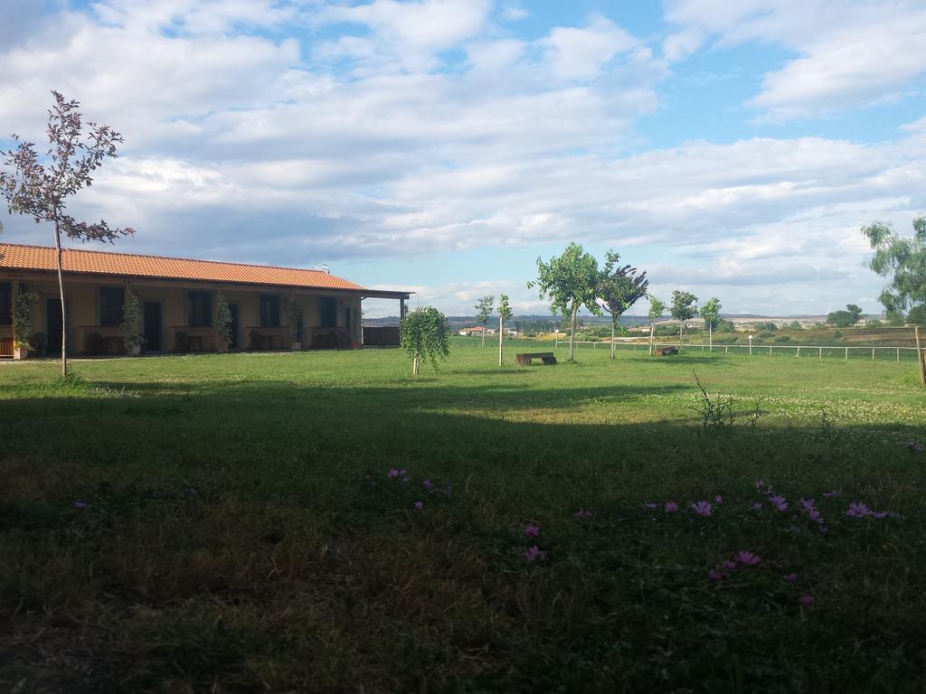 Agriturismo San Matteo Tarquinia Rom bilde