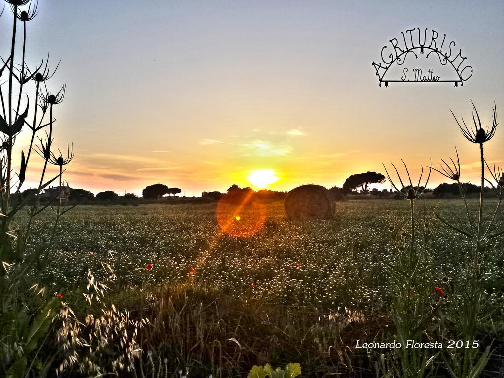 Agriturismo San Matteo Tarquinia Eksteriør bilde