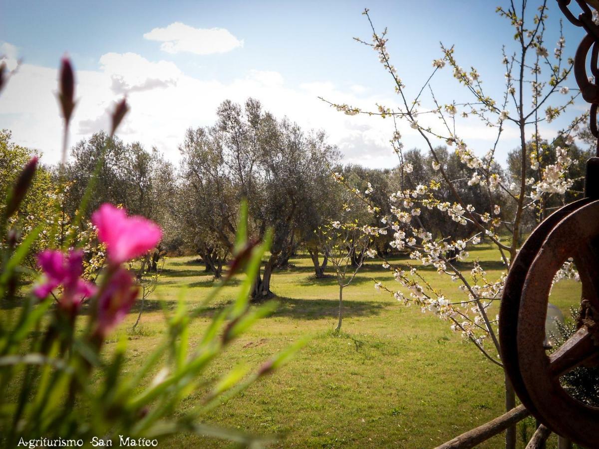 Agriturismo San Matteo Tarquinia Eksteriør bilde