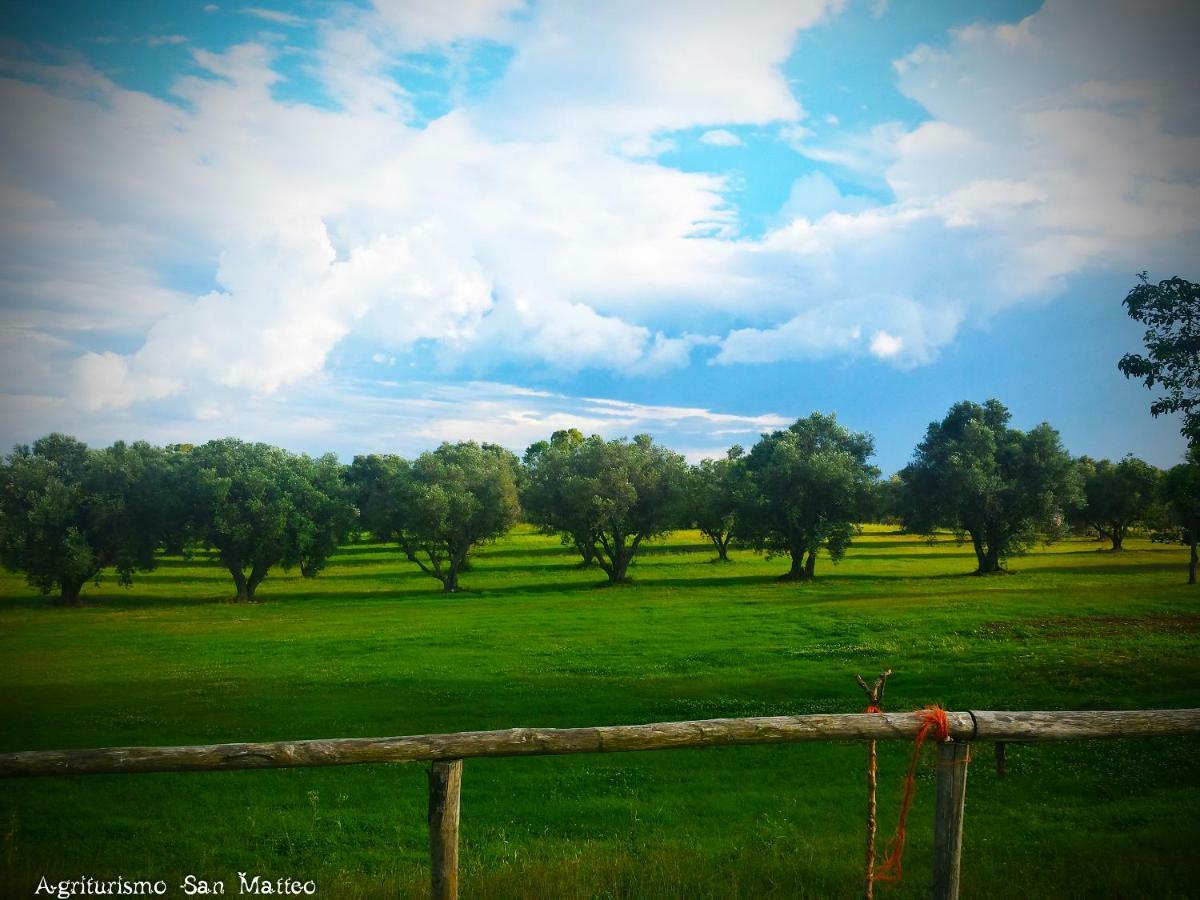 Agriturismo San Matteo Tarquinia Eksteriør bilde