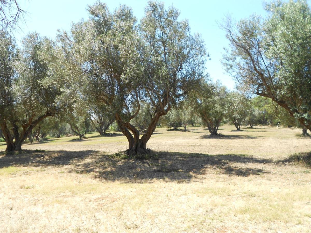 Agriturismo San Matteo Tarquinia Eksteriør bilde