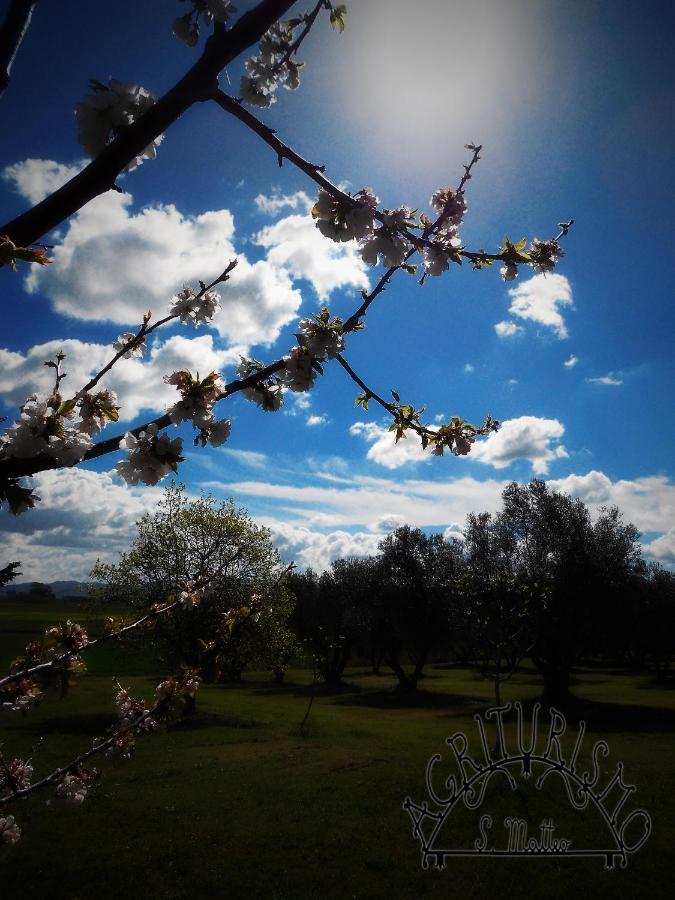 Agriturismo San Matteo Tarquinia Eksteriør bilde