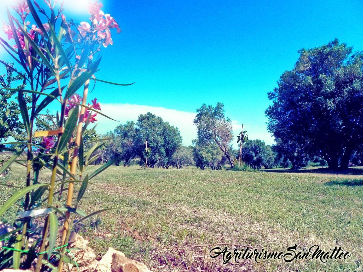 Agriturismo San Matteo Tarquinia Eksteriør bilde