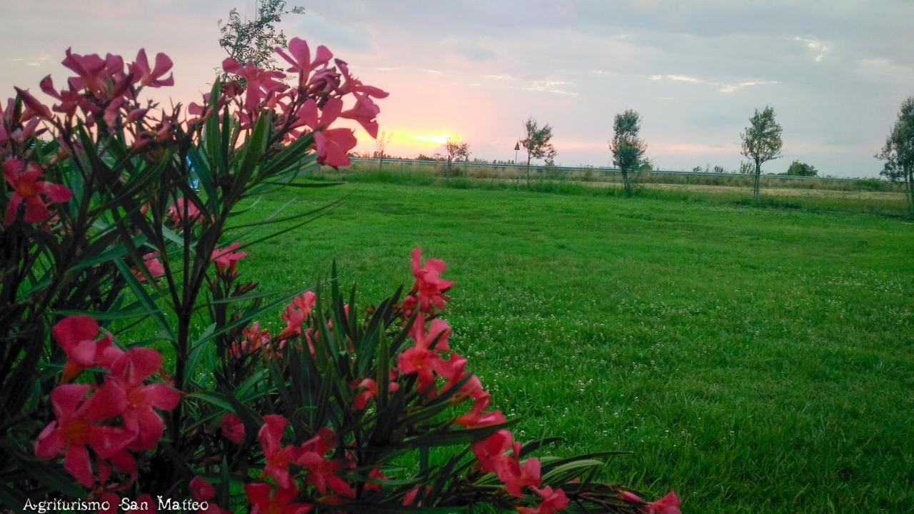 Agriturismo San Matteo Tarquinia Eksteriør bilde
